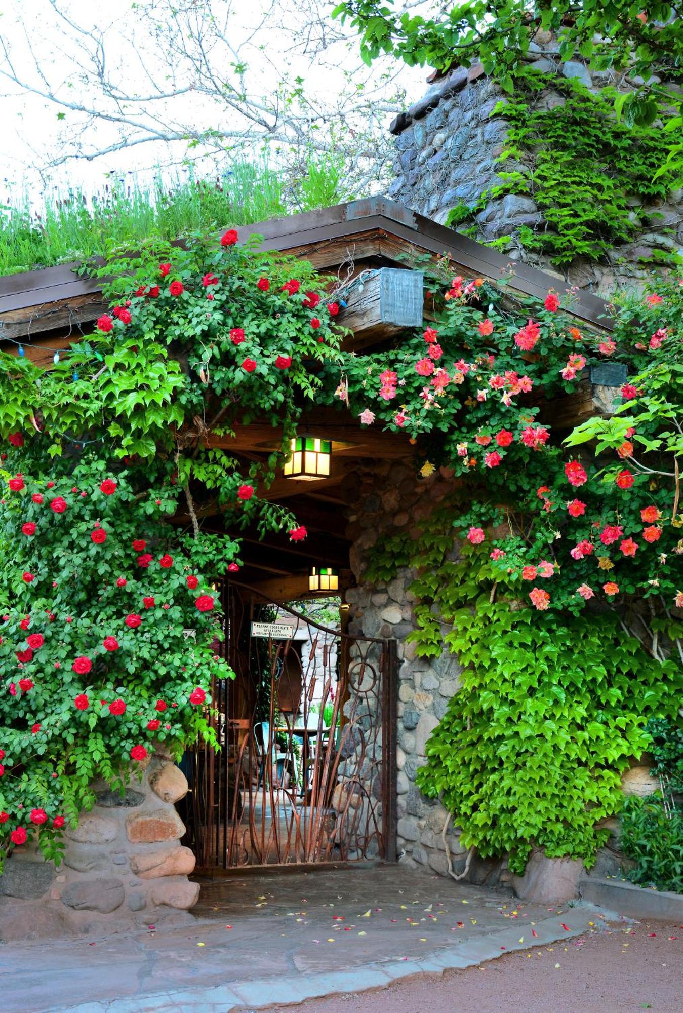 El Portal Sedona Hotel Ngoại thất bức ảnh